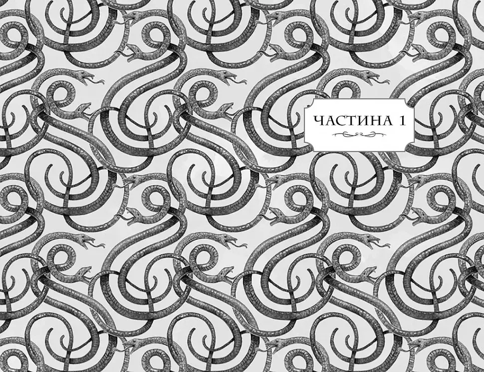 Школа добра і зла. У пошуках слави. Книга 4 - фото 4