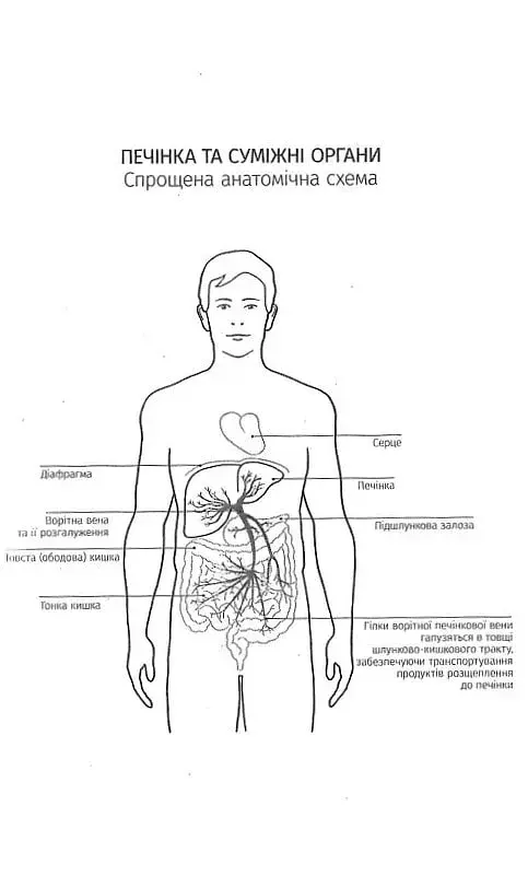 Внутрішня історія. Приховані сили вашої печінки - фото 5