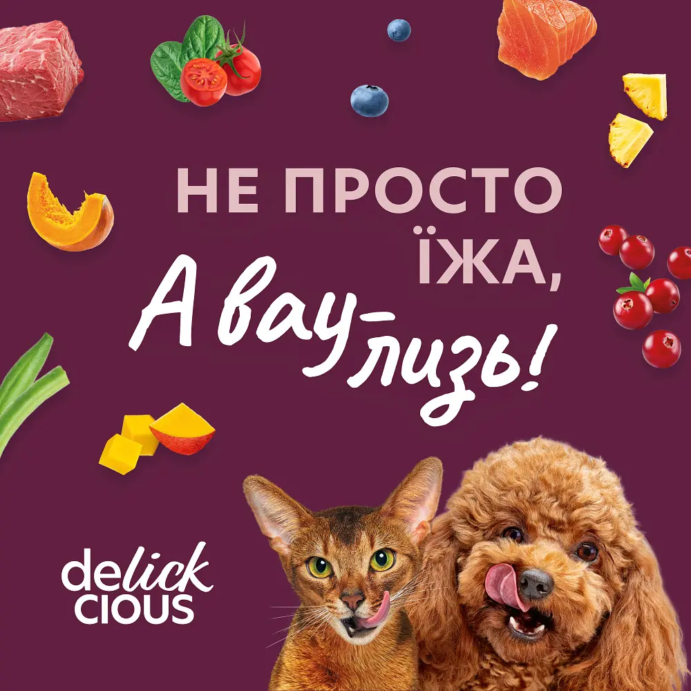Ласощі для котів та собак Delickcious молоко з сиром (1+1) 120 г  - фото 4