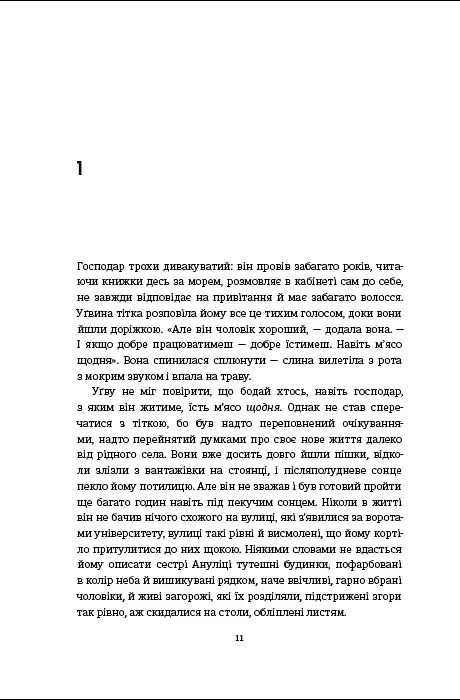 Половина жовтого сонця - фото 4