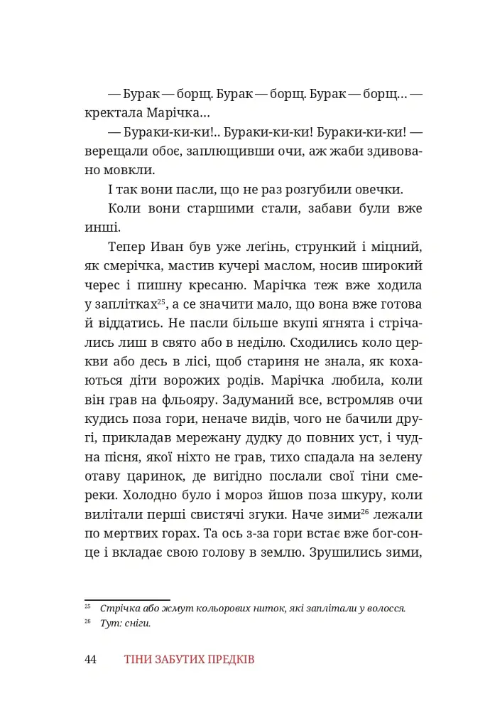 Тіни забутих предків - Михайло Коцюбинський - фото 18