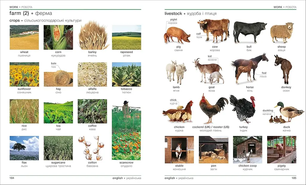 Visual Bilingual Dictionary: Ukrainian-English - фото 4