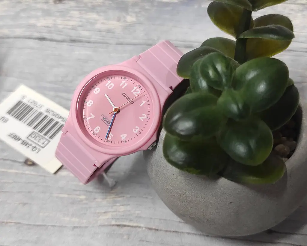 Годинник Casio LQ-24B-4BEF - фото 2