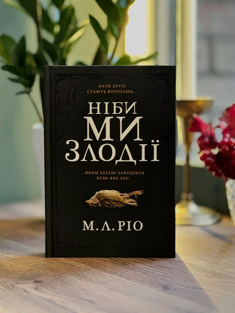 Ніби ми злодії - фото 2