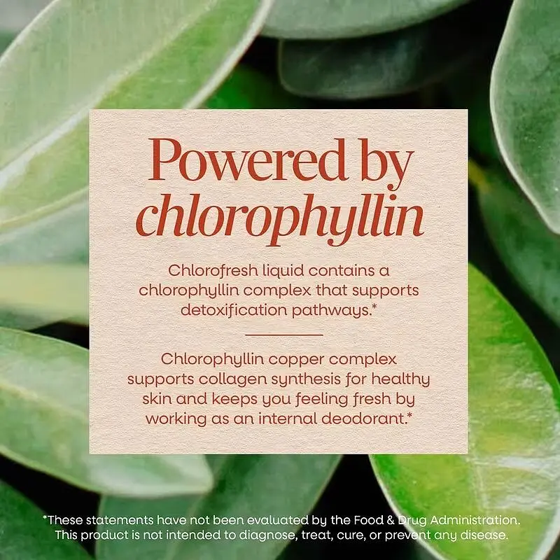 Хлорофіл Nature's Way Liquid Chlorophyll м'ятний смак 480 мл (NWY03501) - фото 4