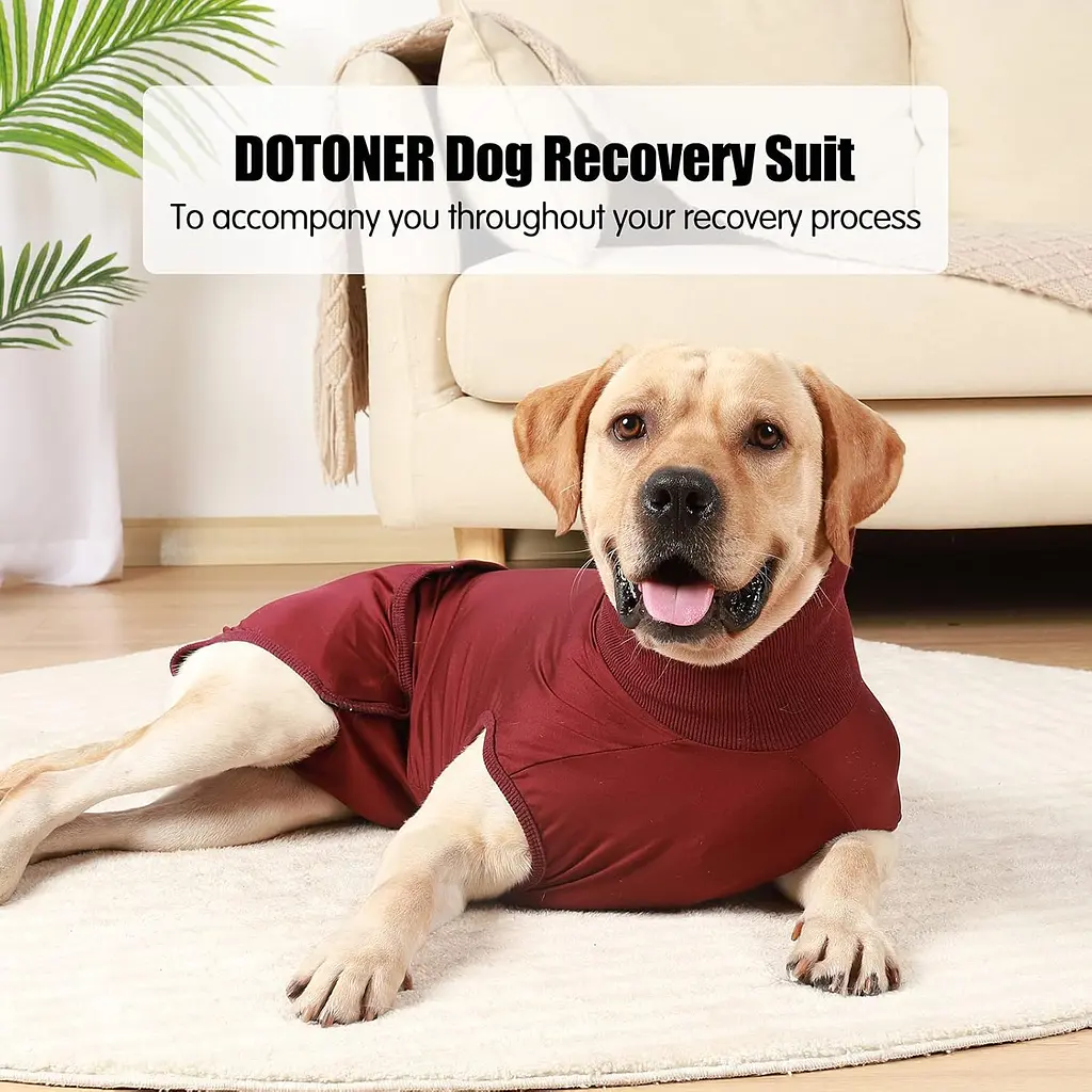 Гігієнічні труси/комбінезон для собак WanTalk Full Body Dog Diaper, Wine Red, 2XL - фото 4
