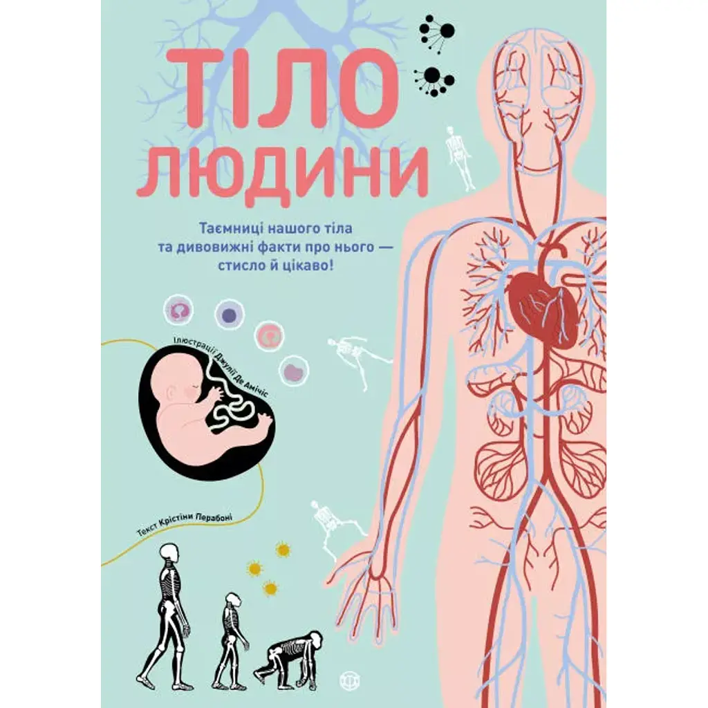 Тіло людини - Крістіна Перабоні