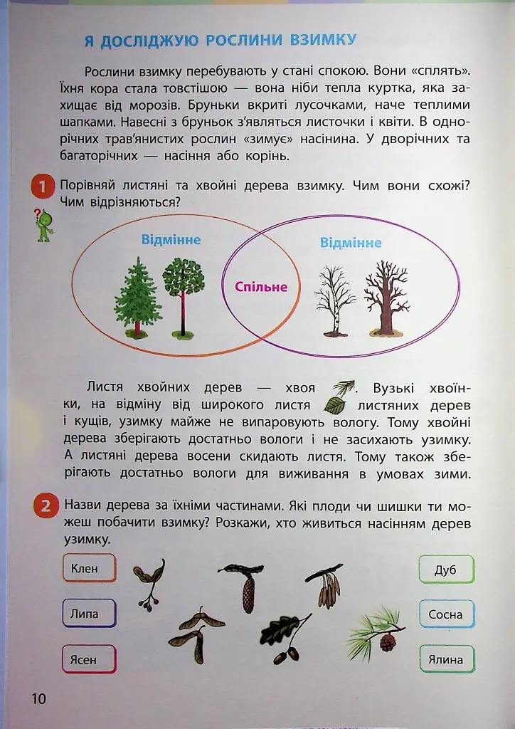 Я досліджую світ. Підручник інтегрованого курсу для 2 класу. Частина 2 - фото 9