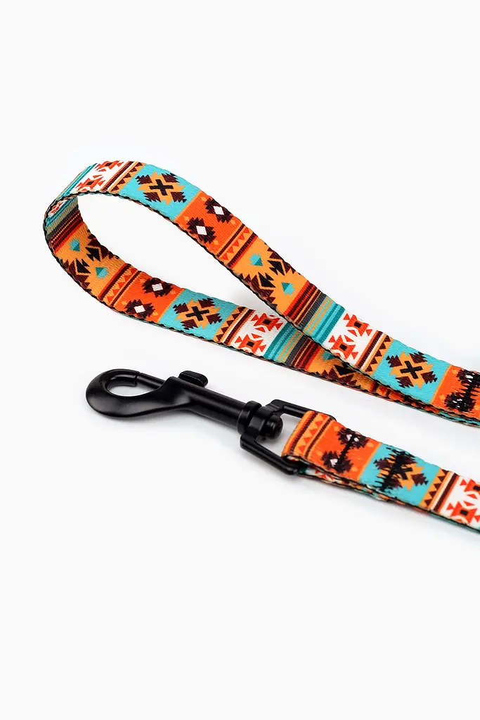 Повідець ТМ HIDOG Southwest , ширина 16 мм (довжина 152 см) (2100102329011A)(SN) shop (2100102329011) - фото 3