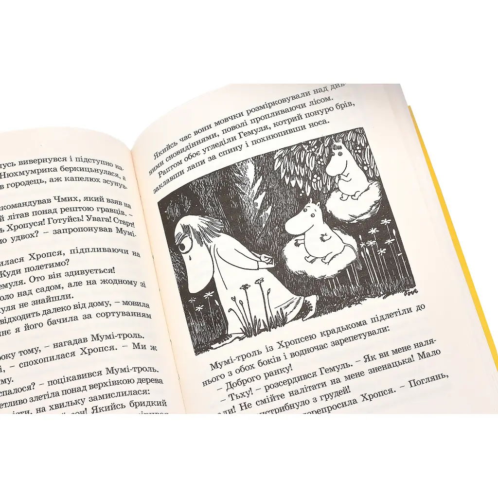 Книга Країна Мумі-тролів. Книга 1 - Туве Янссон Видавництво Старого Лева (9786176796466) - фото 7