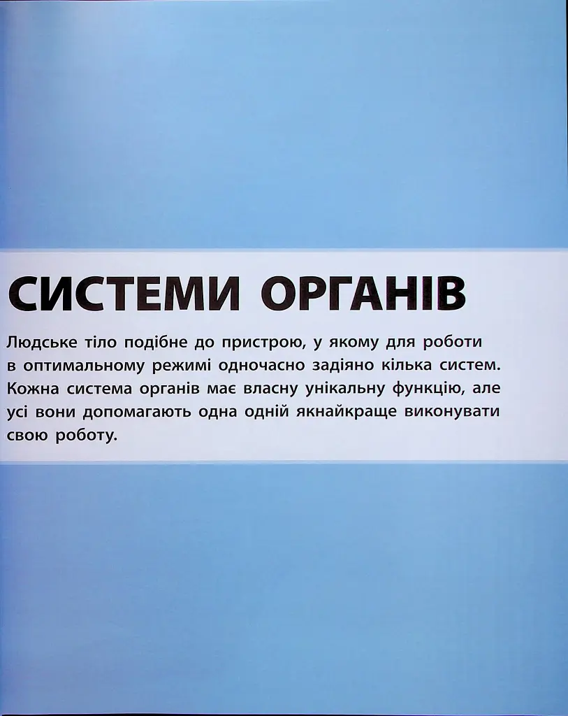 Енциклопедія знань. Тіло людини - Пітер Крісп - фото 16