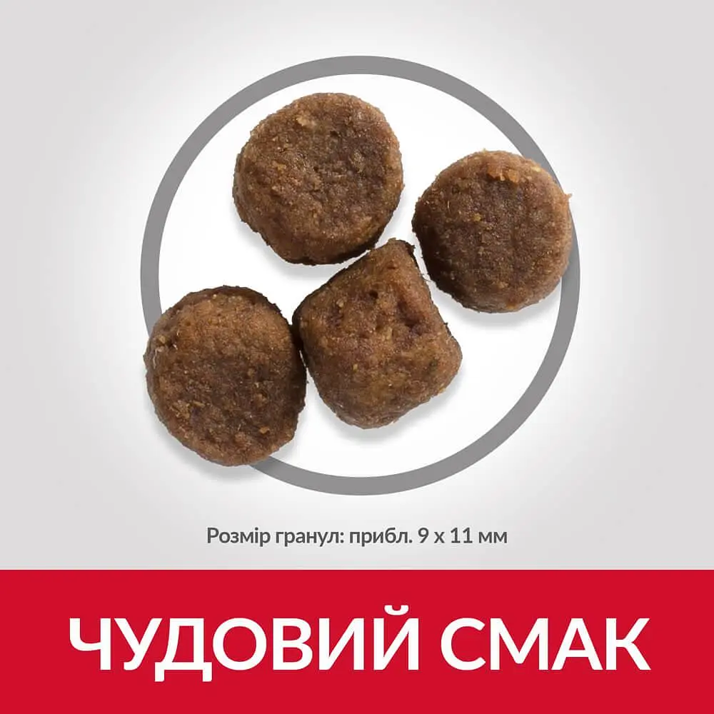 Сухий корм Hill’s SP Puppy Medium Breed для цуценят середніх порід з ягням і рисом 2.5 кг - фото 4