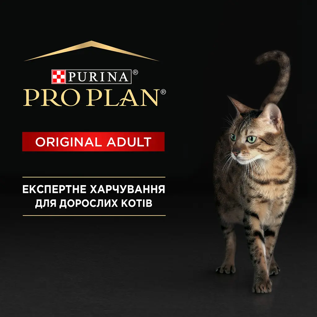 Вологий корм для дорослих котів Purina Pro Plan Adult шматочки в паштеті з куркою 85 г (12458942) - фото 3