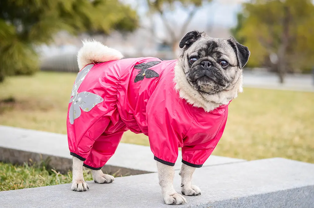 Комбінезон Smart Pet Метелик - фото 4
