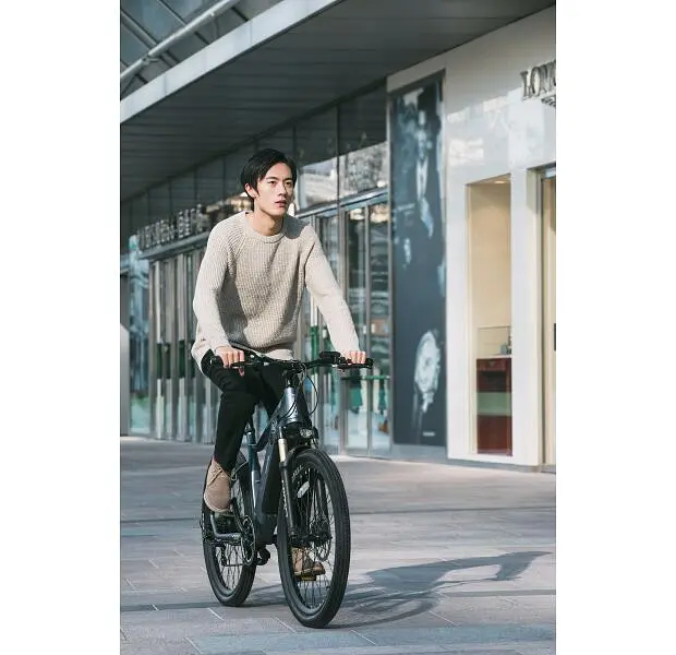 Электровелосипед Xiaomi Himo C26 [Gray] [57504] - фото 8