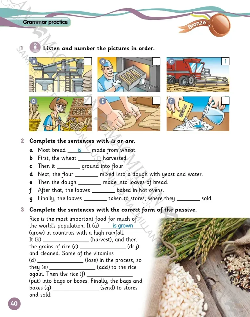 Grammar Goals. Level 5. Student's Book & CD Rom. American Edition - фото 4