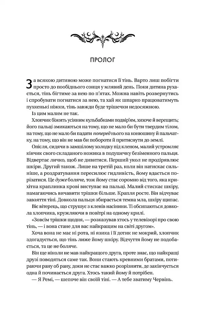 Книга ночі - Голлі Блек - фото 2