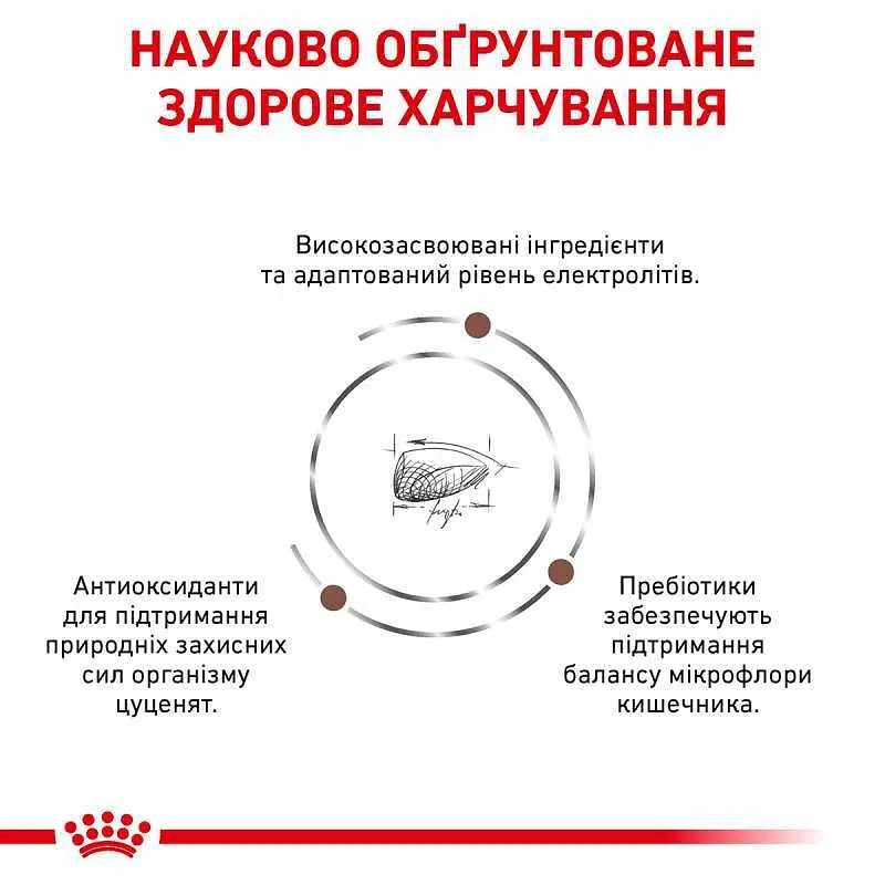 Сухий дієтичний корм для щенят Royal Canin Gastrointestinal Puppy при порушенні травлення, 2,5 кг (39570251) - фото 5