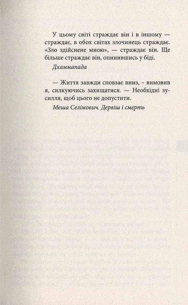 Місто уповільненої дії - Анатолій Дністровий - фото 2