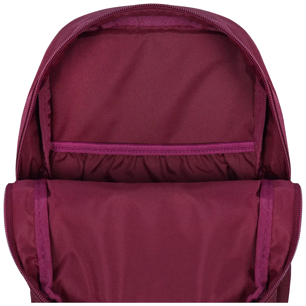 Рюкзак Bagland Молодіжний mini 8 л вишня (0050866) - фото 4