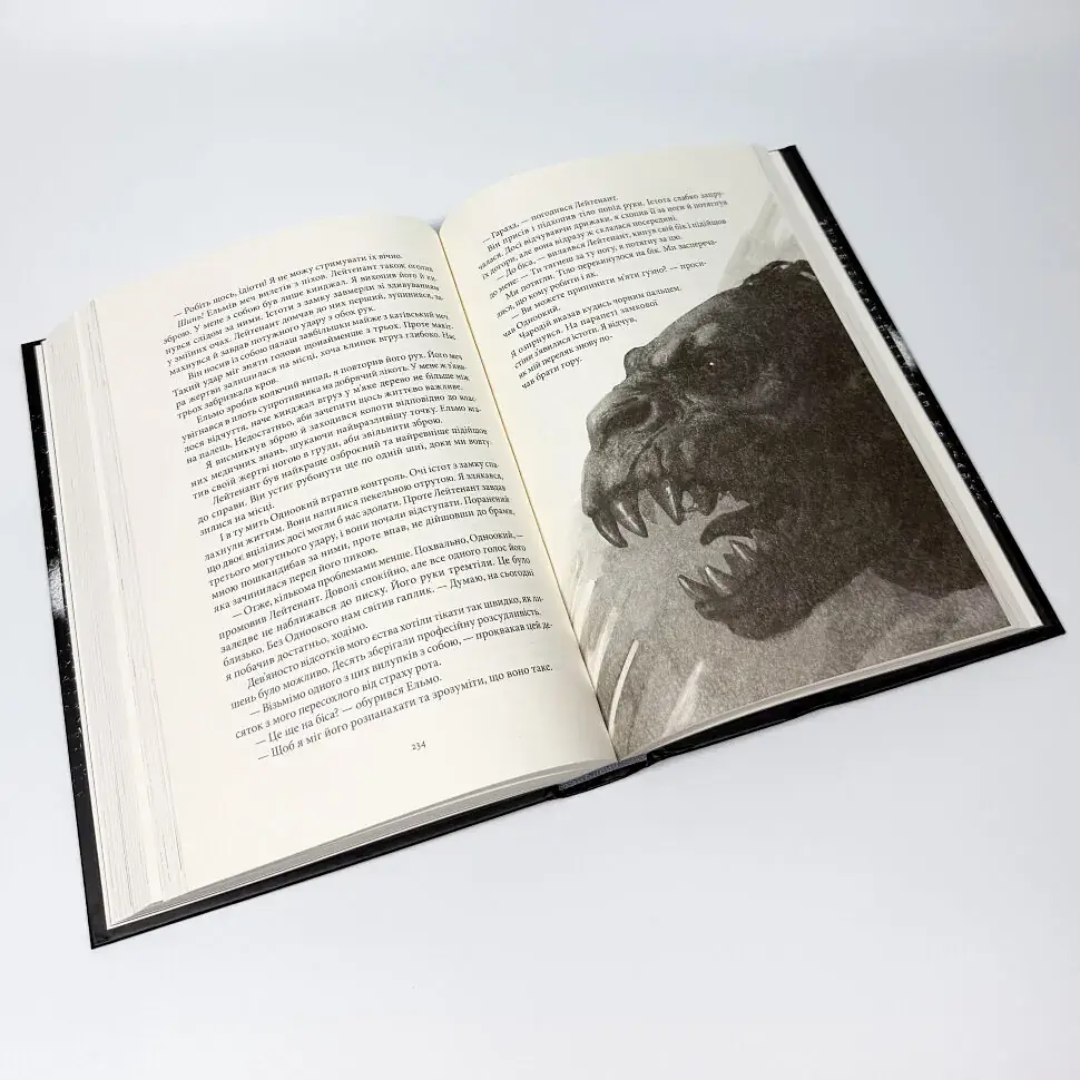 Нетлінні тіні - Глен Кук | Nebo Booklab Publishing, книга українською, нова, тверда - фото 3