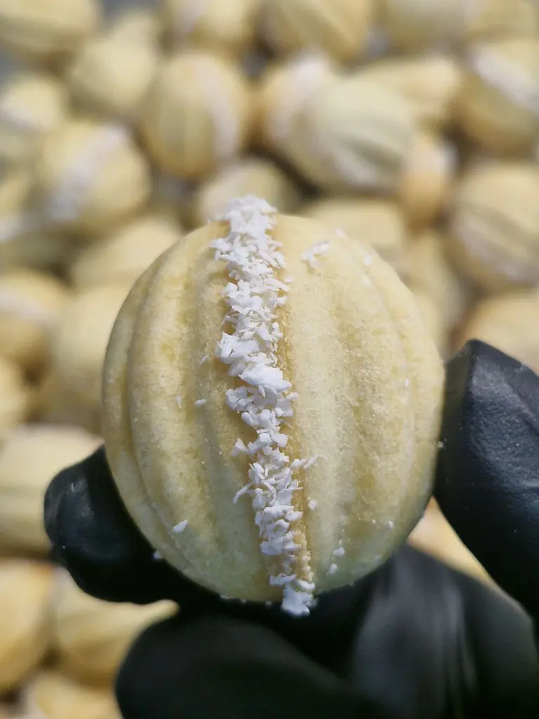 Набір Горішків Кокос-Мигдаль 12 шт. в упаковці - фото 2