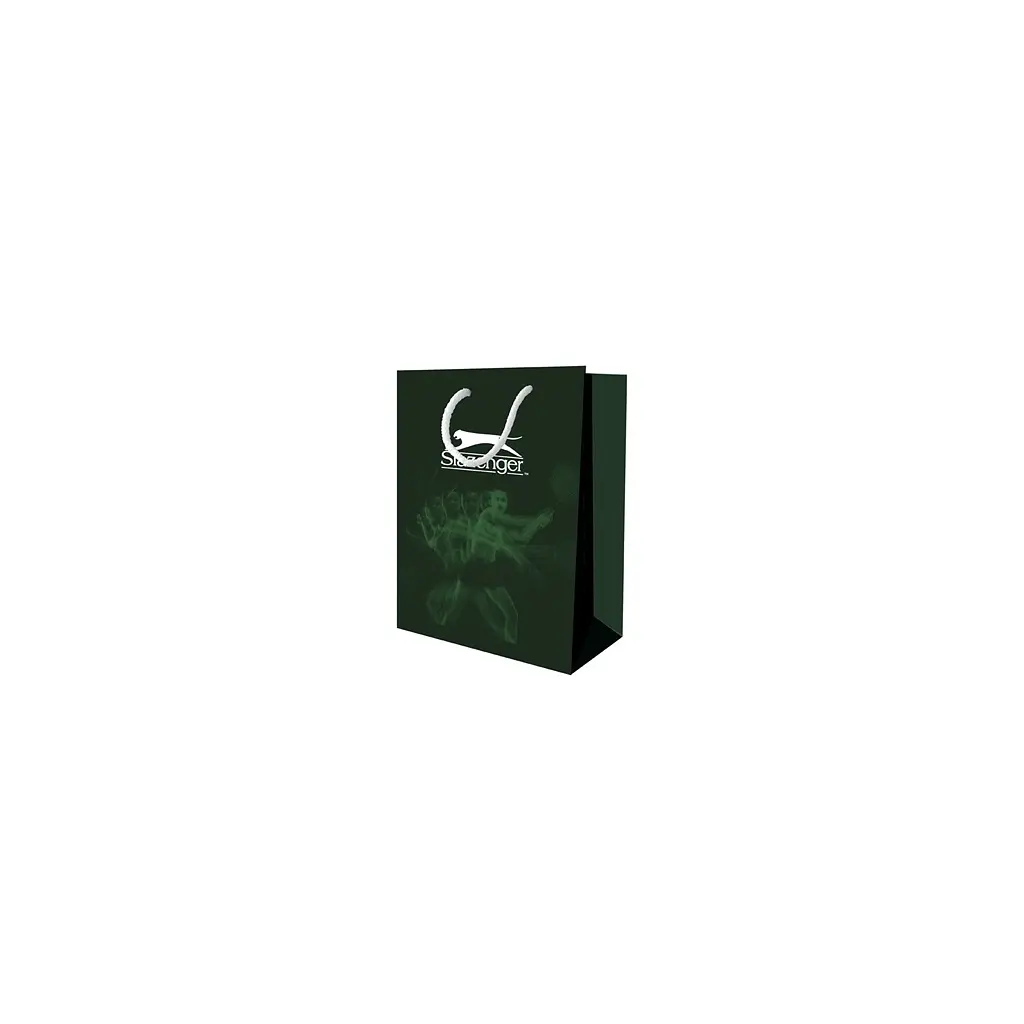 Наручний годинник Slazenger SL.09.6227.3.02 - фото 3