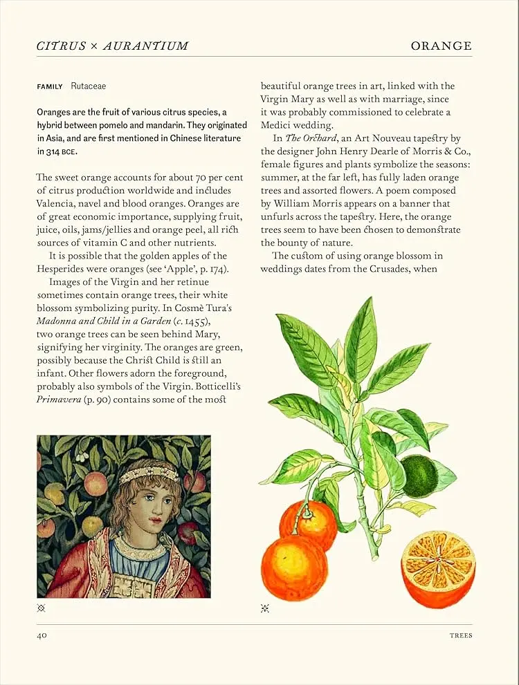 The Secret Language of Plants. Art, Nature  Symbolism - фото 2