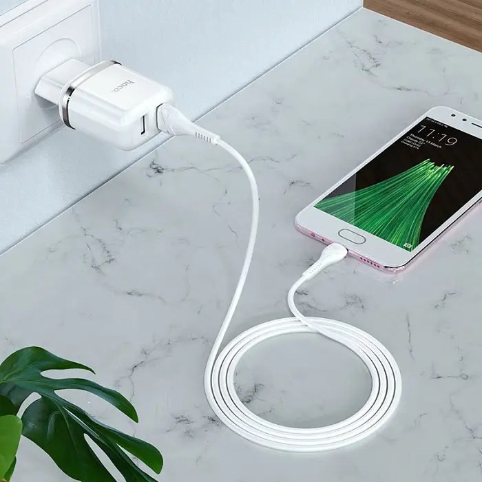 Сетевое зарядное устройство Hoco N4 Aspiring 2USB 2.4A micro-USB Белый - фото 7