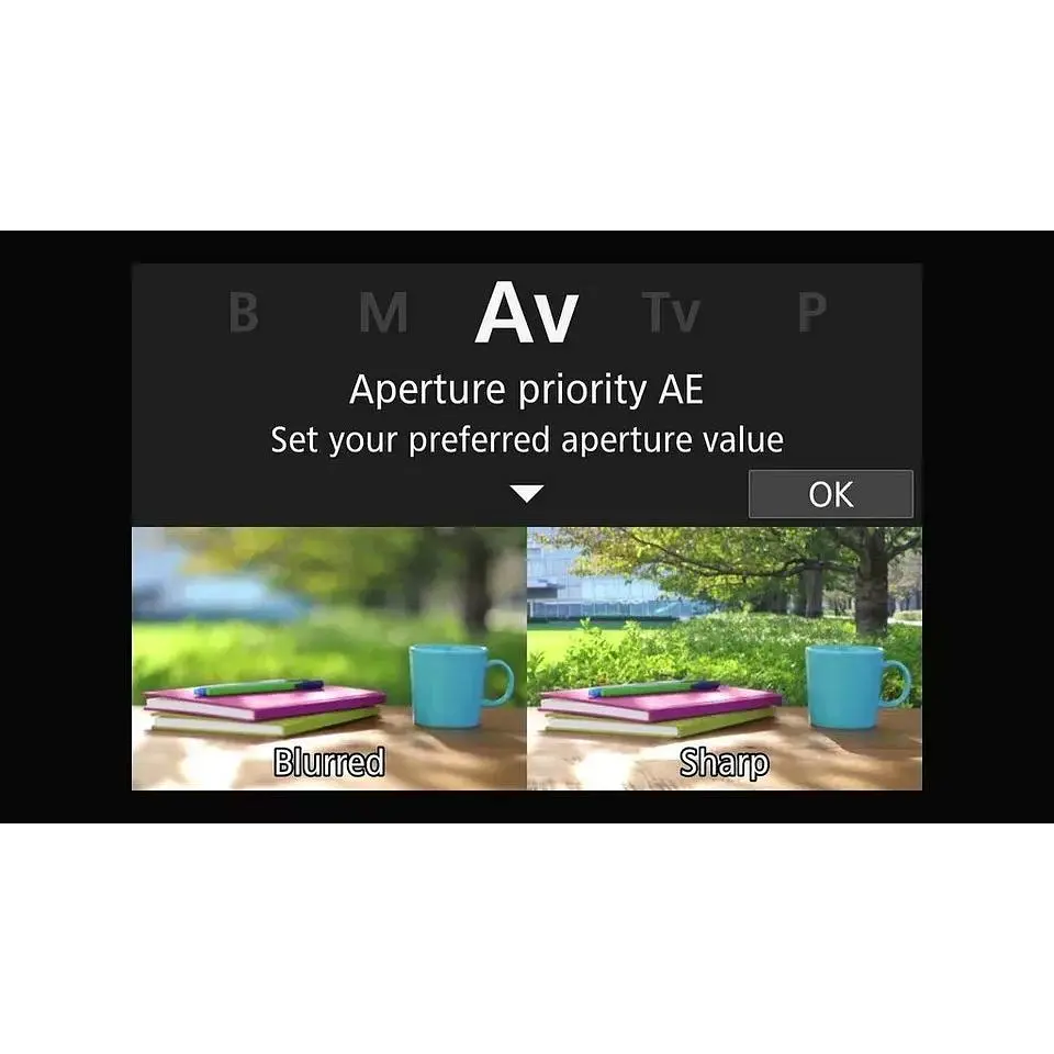 Бездзеркальний фотоапарат Canon EOS R10 Kit RF-S 18-45mm f4.5-6.3 IS STM (5331C047) [87257] - фото 12