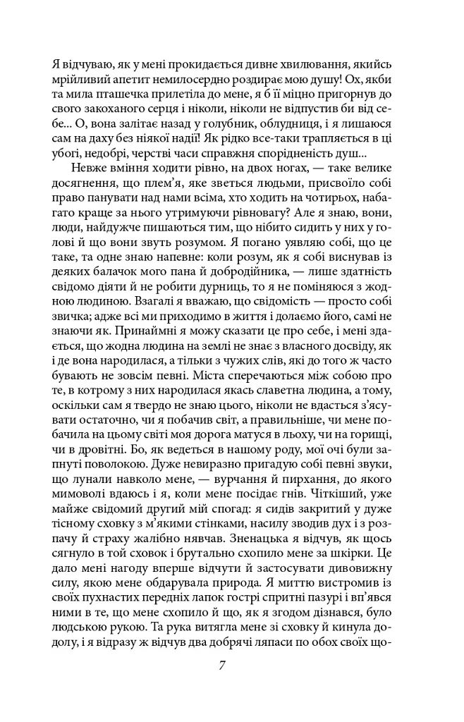 Життєва філософія кота Мура - фото 8