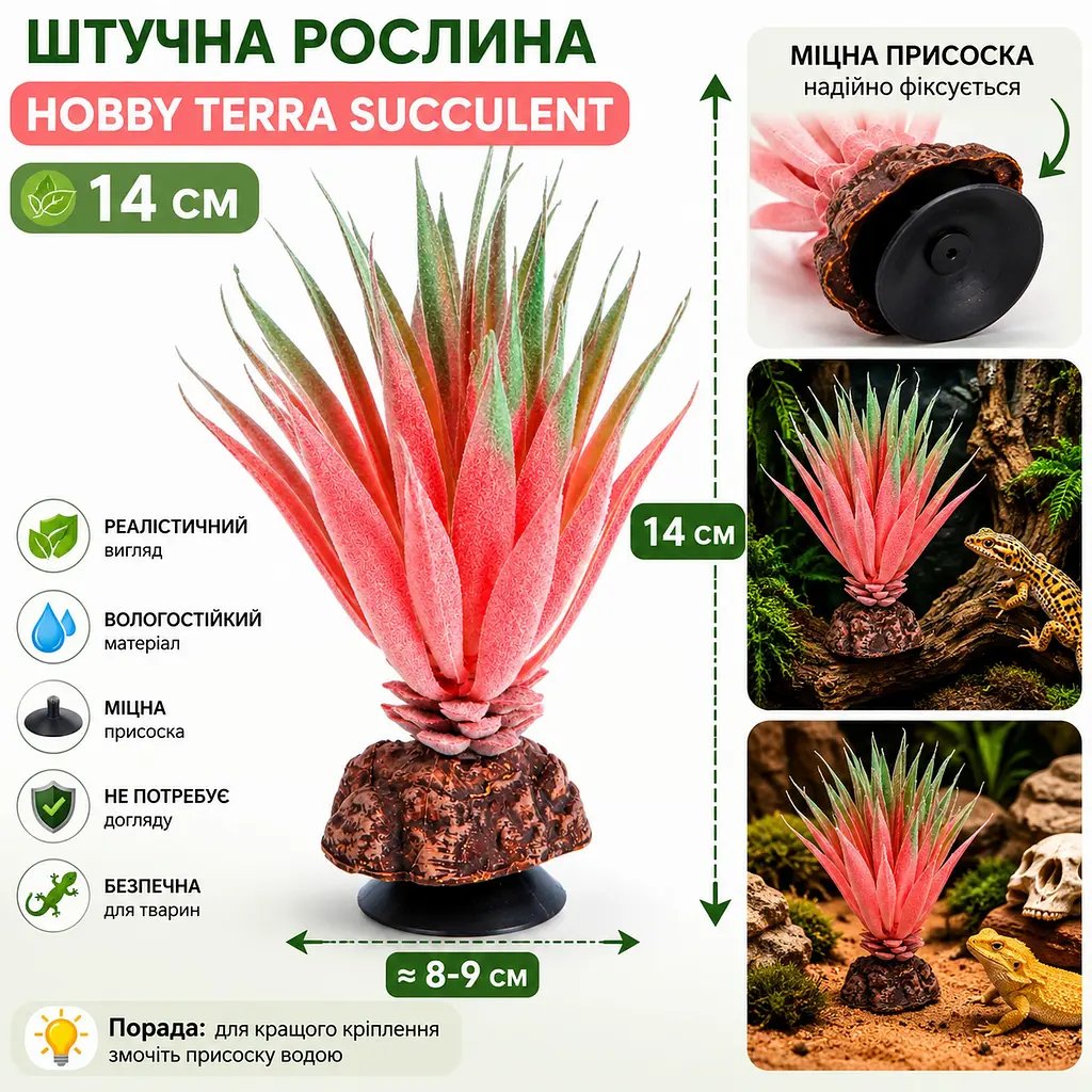Штучна рослина Hobby Terra Succulent 1 14 см (37730) для тераріуму, акватераріуму та палюдаріуму - фото 2
