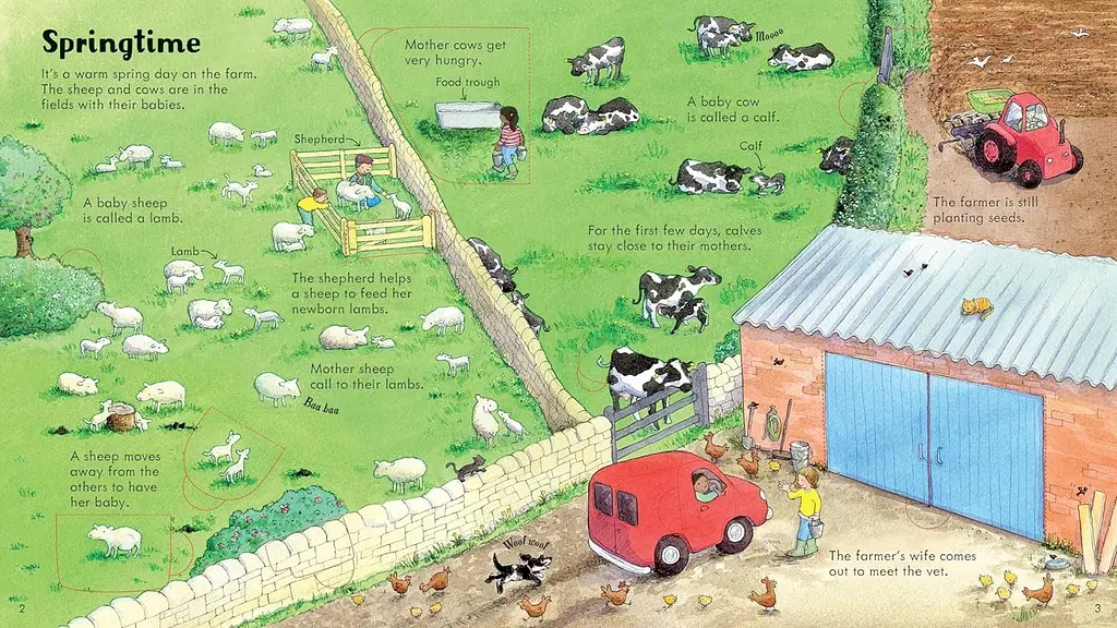 Look Inside a Farm - Кеті Дейнс - фото 3
