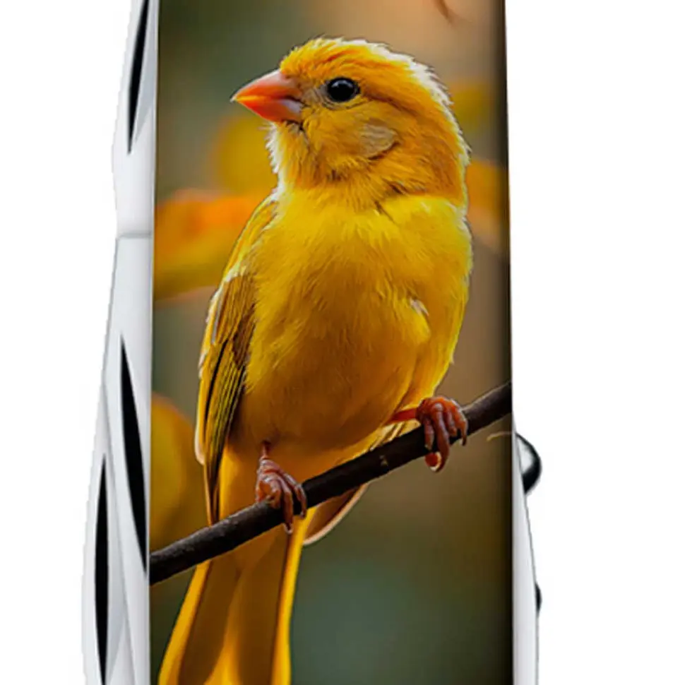 Ніж Victorinox Spartan Ukraine 91мм 13функ Золота пташка - фото 7
