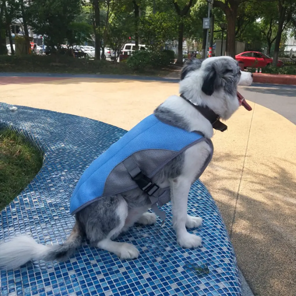Літній охолоджувальний жилет для великих порід собак Derby Summer Dog Cooling Vest PPA0116, Blue, XL - фото 2