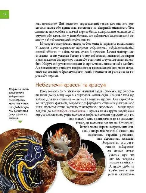 Тварини - майстри маскування. Енциклопедія для допитливих - Андрій Гапченко - фото 4