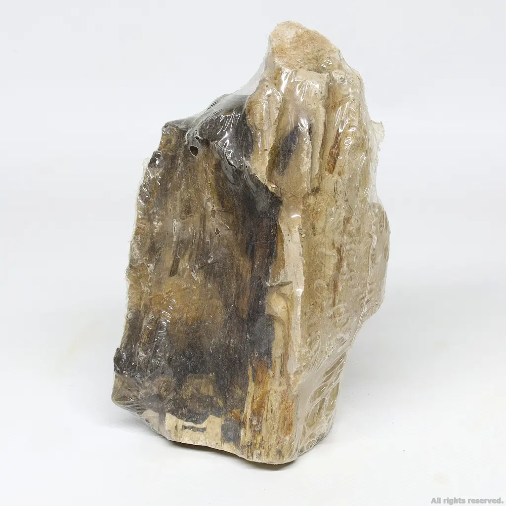 Декоративний природній камінь Hobby Petrified Wood S 0.3-1.0кг (40686) - фото 5
