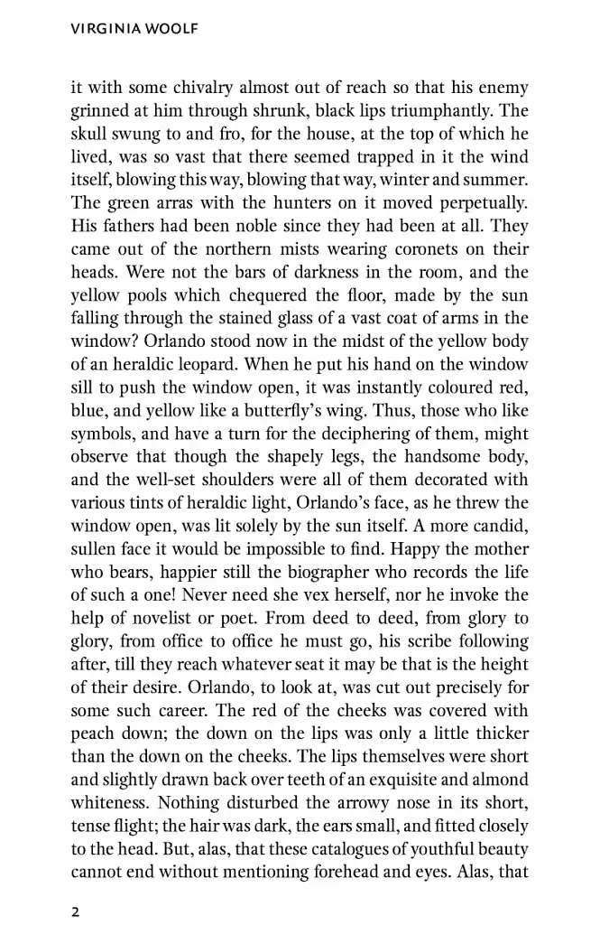 Orlando - фото 4