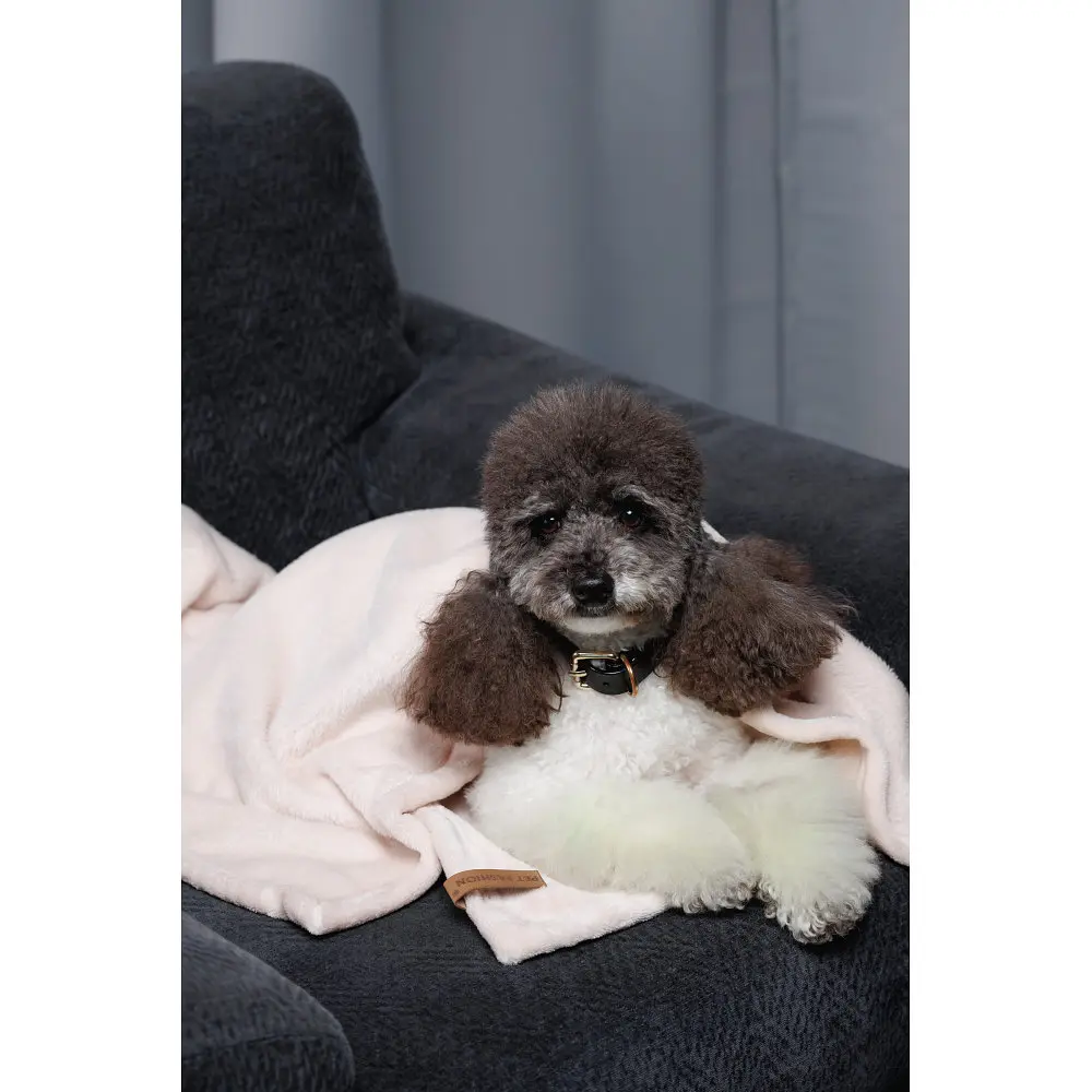 Плед Pet Fashion Bliss 2 для собак и котів плюш пудра 68х114,6 см - фото 10