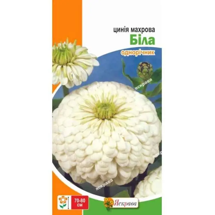 Цинія ЯСКРАВА Махрова Бiла (20 пачок) 0,5г