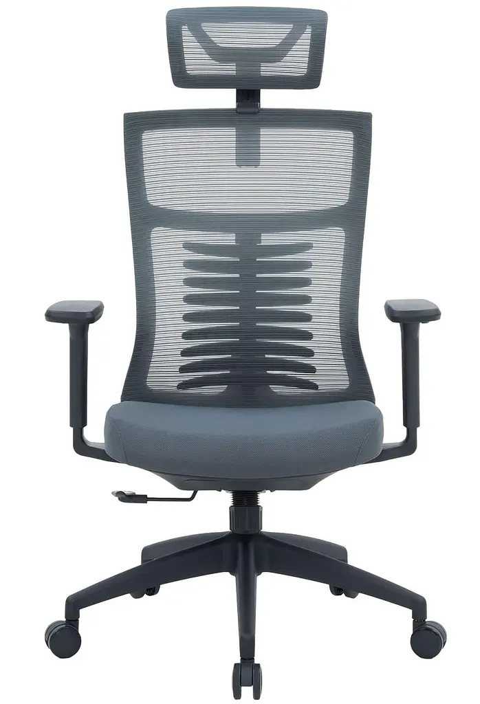 Офісне крісло OfficePro Balance OC550-B-DG-DG (OC550-B-DG-DG) - фото 2