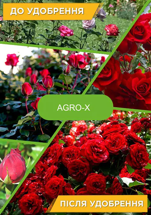 Минеральное удобрение Agro-x Plant builder Плант билдер для цветущих растений 80 г (47653) - фото 2