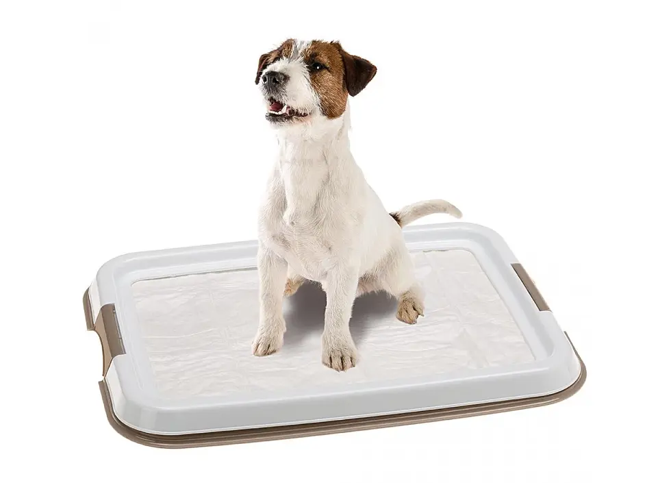 Туалет для собак Ferplast Hygienic Pad Tray Small для гігієнічних пелюшок 49x36x3 см 85346311 - фото 2