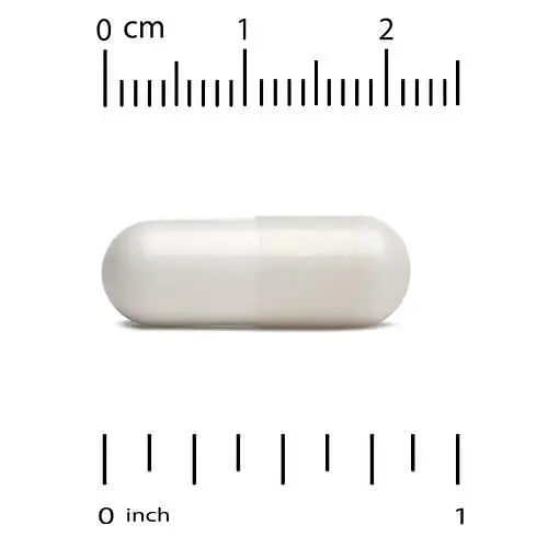 Мастичная смола Mastic Gum 500 mg 60 капсул CGN vit0005401 - фото 3