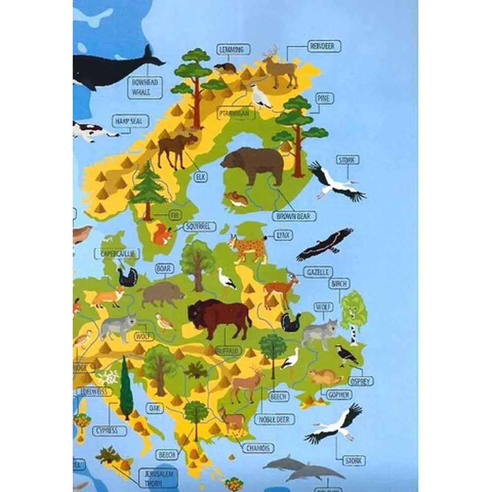 Тварини і рослини світу. Animals and plants of the world - Вікторія Тиха (9789669890726) - фото 5