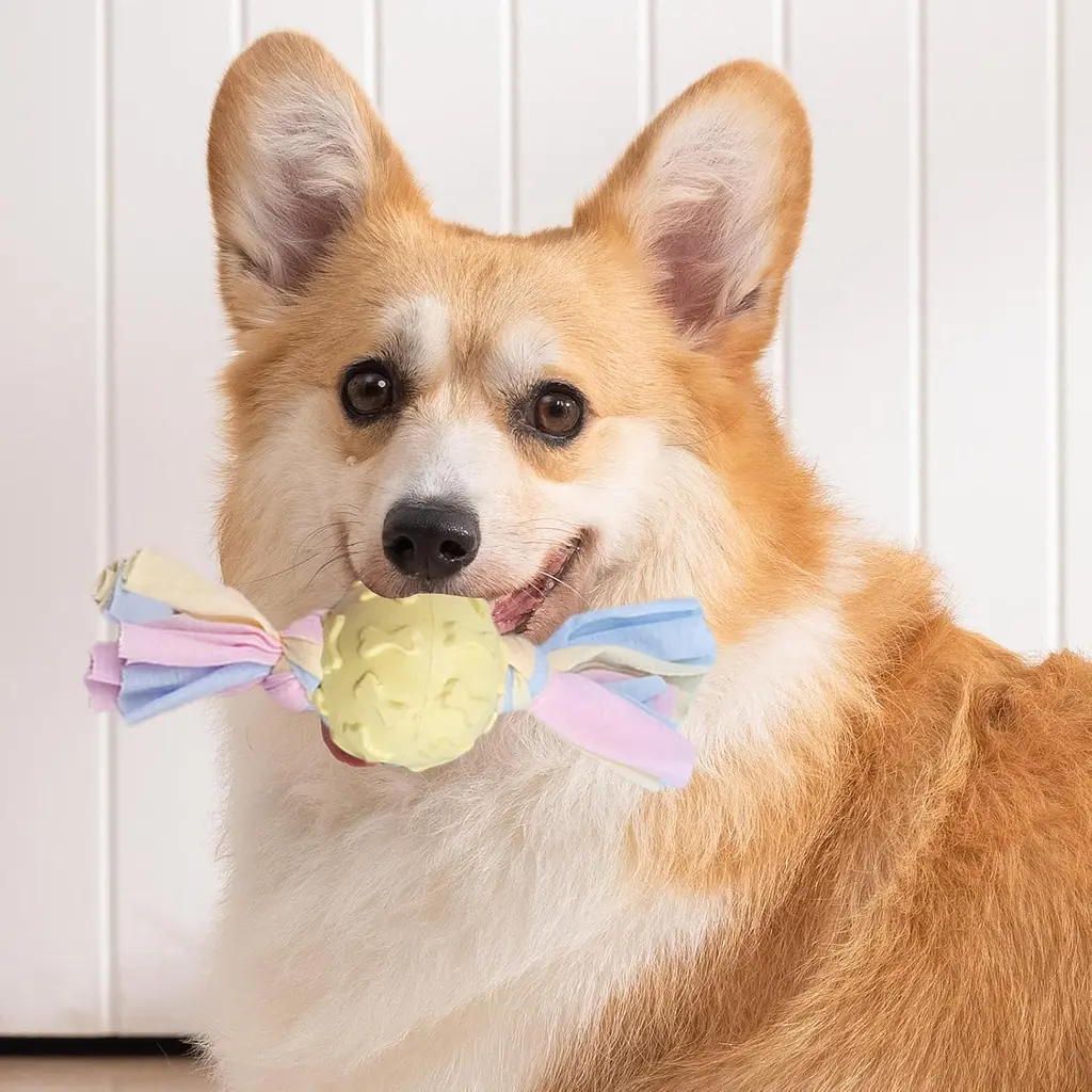 Жувальна іграшка для собак Derby Candy ball with paws and cotton rope - фото 2