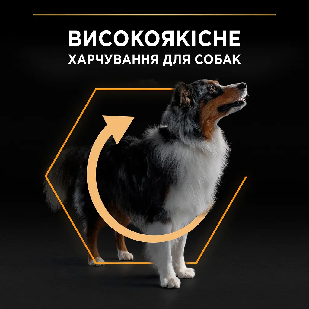 Сухий корм Purina Pro Plan Medium Adult 1+ Everyday Nutrion для дорослих собак середніх порід з куркою 14 кг (12375801) - фото 5