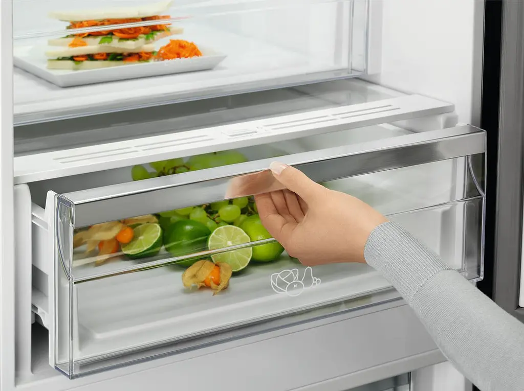 Холодильник Electrolux RNT7ME34K1 - фото 7