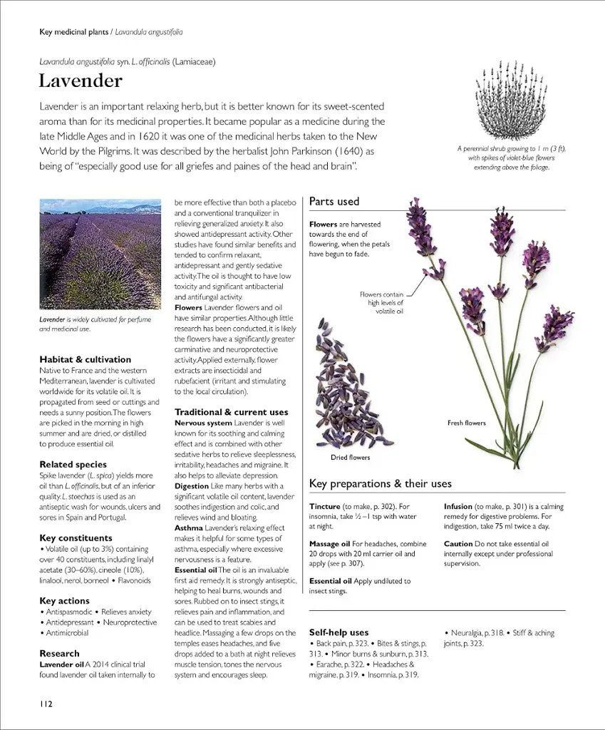 Encyclopedia of Herbal Medicine - фото 9