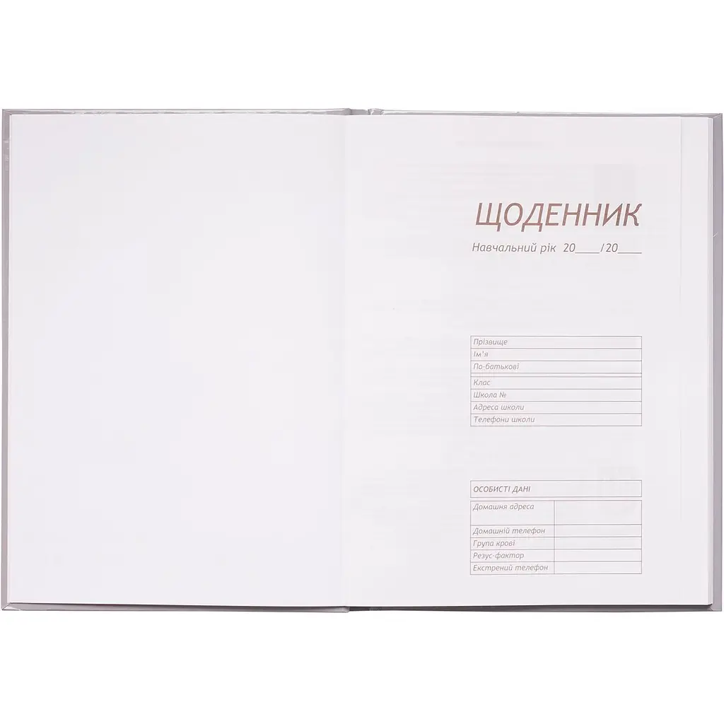 Щоденник шкільний ZiBi Kids Line Ice Cream В5 48 аркушів (ZB.13811) - фото 2